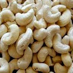 Cashew Nut