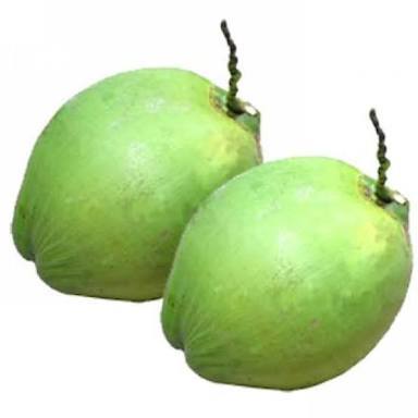 Own Conman Green Coconut