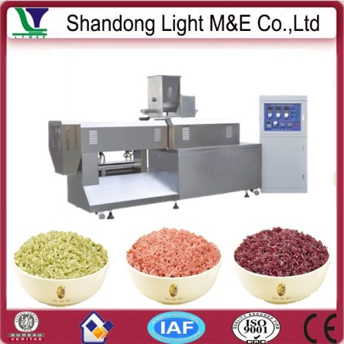 Artificial Rice Plant