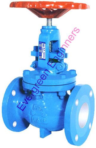 Globe Valve