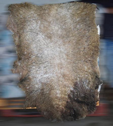 Sheep Skins