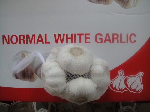 Garlic, Note : Price Plus GST
