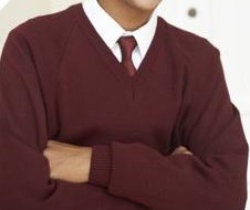 School Sweaters, Gender : Female, Kids, Male