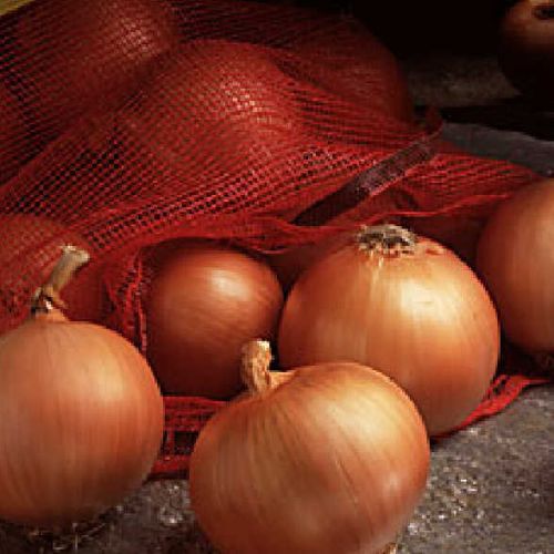 Golden Onions, Red Onions