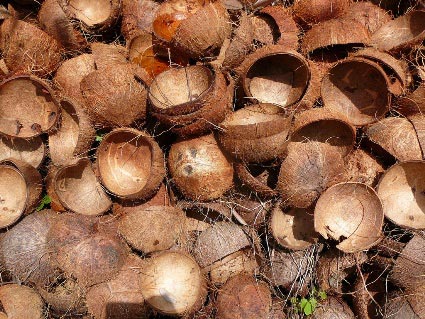 Coconut Shells