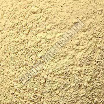 Garlic Powder, Packaging Type : Plastic Packet