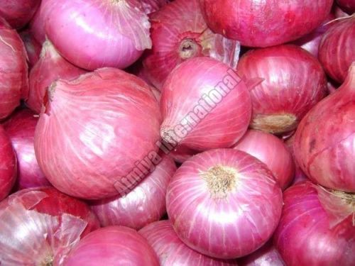 Organic Red Onion, For Cooking, Style : Fresh