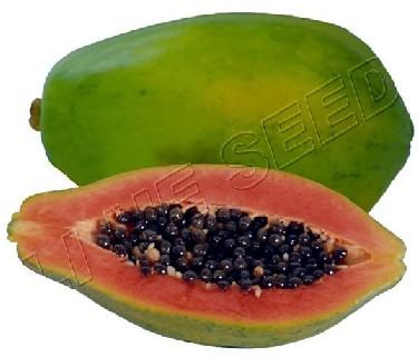 Hybrid Papaya Seeds - 709