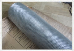 Electro Galvanized Square Wire Mesh
