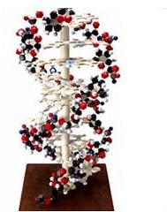 Detergent Wetting Agents