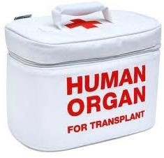 Organ Transplantation Services