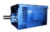 AC Induction High Voltage Motor