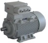 Y2 Series (ip55) Three-phase AC Induction Pump Motors