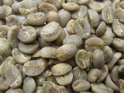 Coffee beans, Variety : Arabica Cherry
