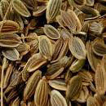 Dill Seed