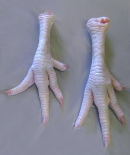 Chicken Feet , Chicken Paw , Halal Chicken