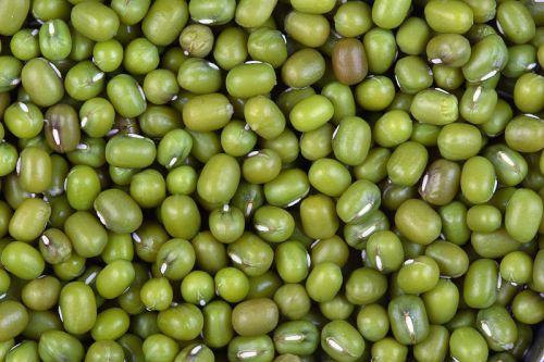 Green Mung Bean, Type : Pulses