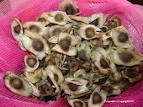 Moringa seeds, Packaging Size : 25Kg