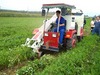 Peanut Harvester