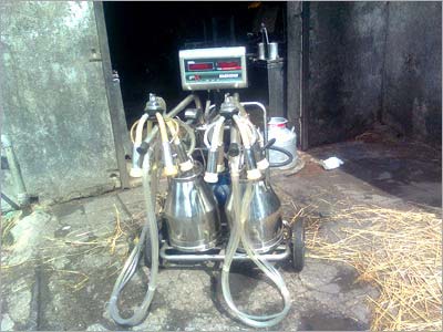 Automatic Double Cans Milking Machine, Color : Silver