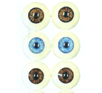 Artificial Eyes