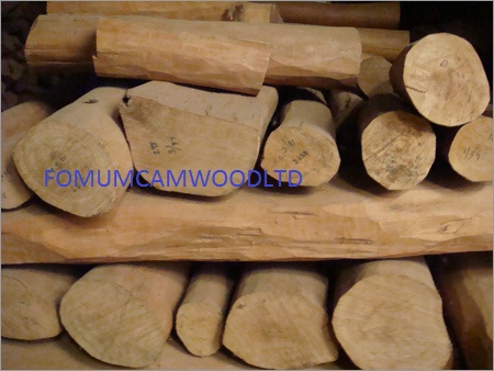 White Sandal Wood