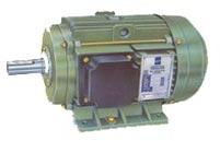 Electric Motors