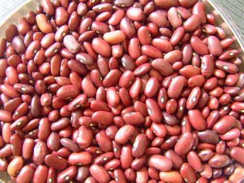 Red kidney beans
