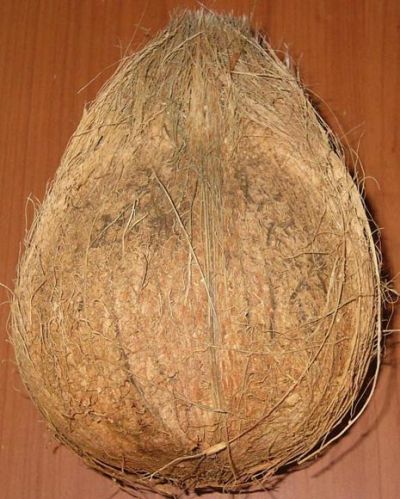 Coconut