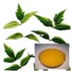 Organic Neem Oil, Extraction Type : Cold Process