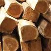 Teak Wood Rough Logs