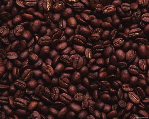 Coffee beans, Variety : Arabica Cherry