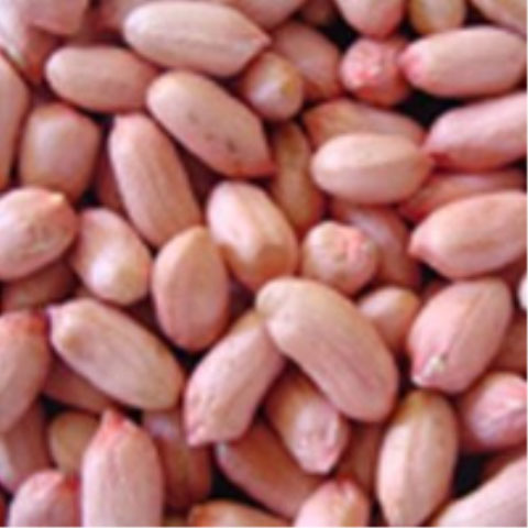 Peanut, Origin : Harvested From Peanut Plants