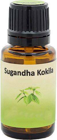 Sugandh Kokila Oil, Purity : 100.00%