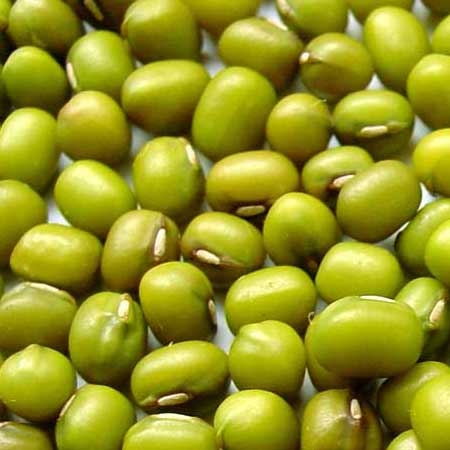 Green Mung Beans Offer