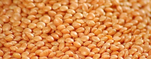Red Split Lentils