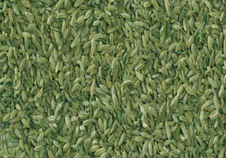 Fennel Seeds