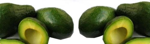 Fresh avocado, Quality Available : A Grade