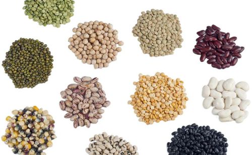 Indian Pulses