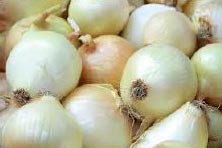 White Onion