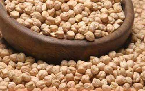 White chickpeas, Cultivation Type : Natural