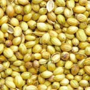 Coriander seeds, Purity : 99.9%