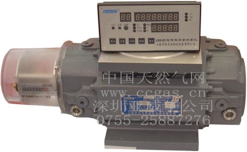 Domestic Roots Flowmeter