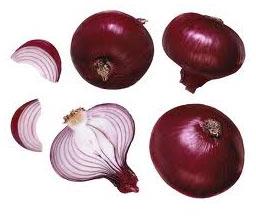 Red onion For Human Consumption