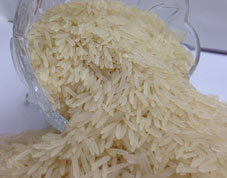 SUGANDHA BASMATI SELLA WHITE