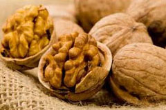 Walnut