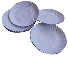 Duplex White Paper Plate