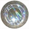 Silver Coated Paper Plate
