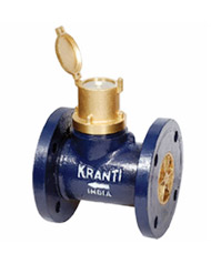 Residential Water Meter