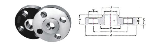 Slip On Flanges